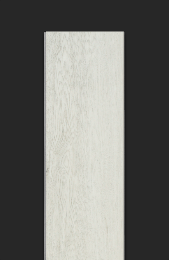 Belmont Oak