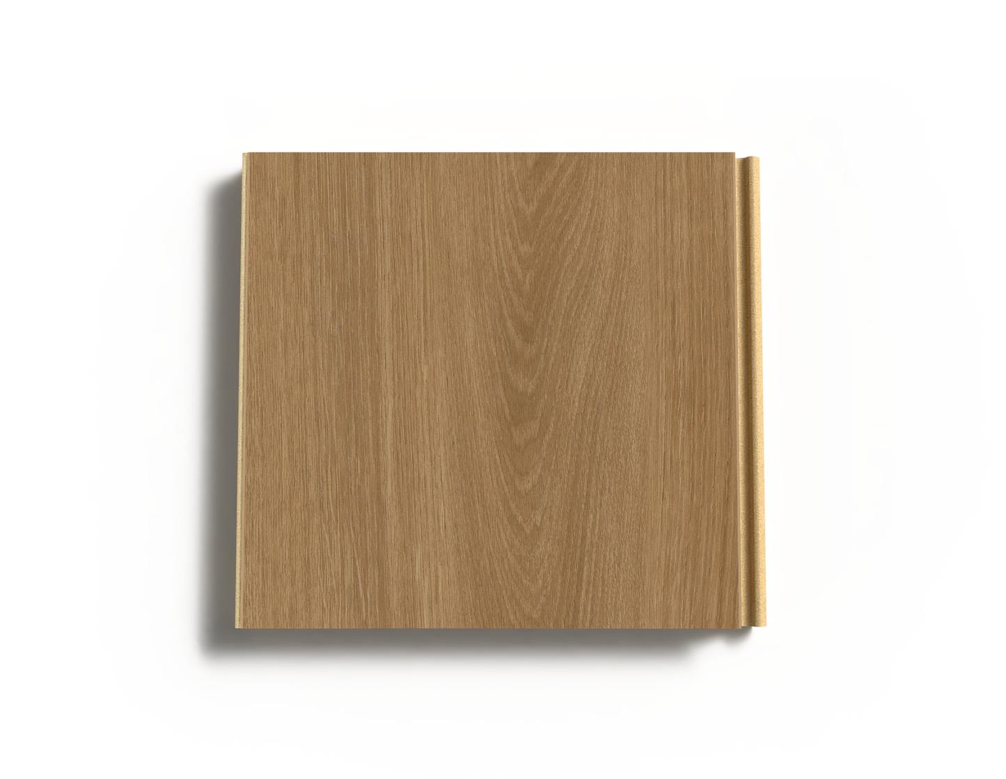 Montauk Oak