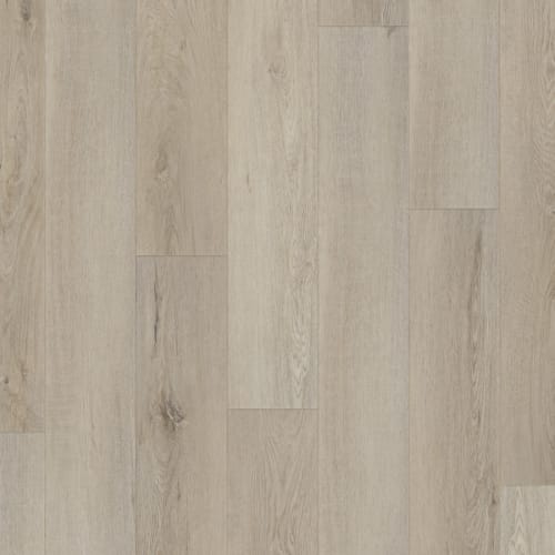 Shelby Oak