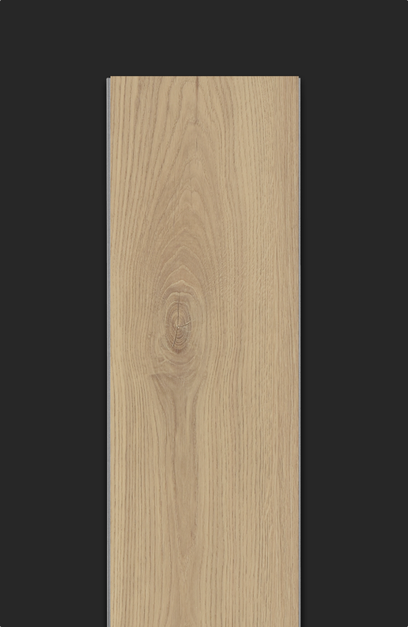Sullivans Oak