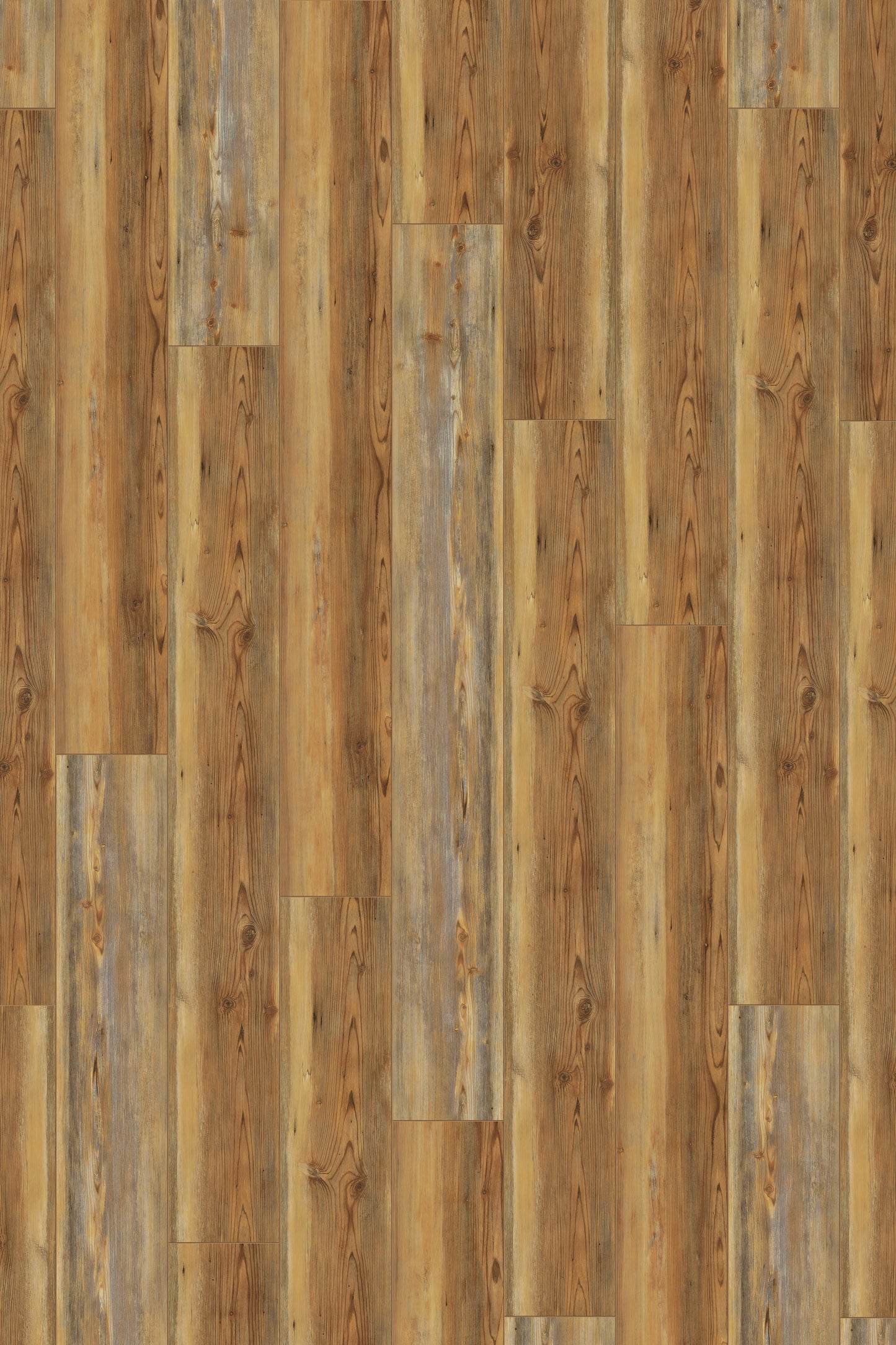 Southern Pine