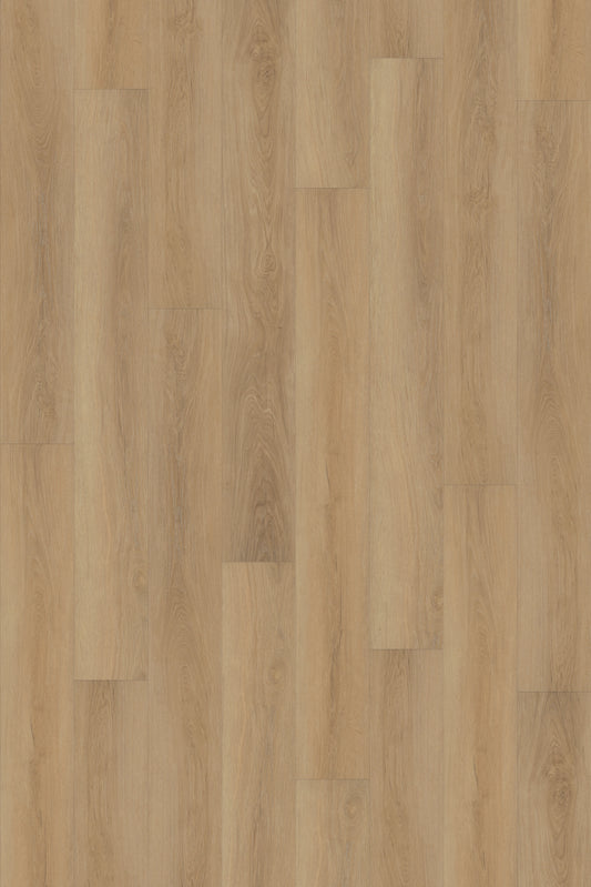 Mojave Oak